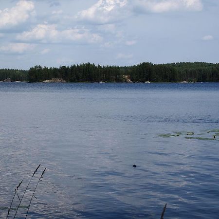 Kuoreksenniemi Villas & Lakehouse Puumala Bagian luar foto