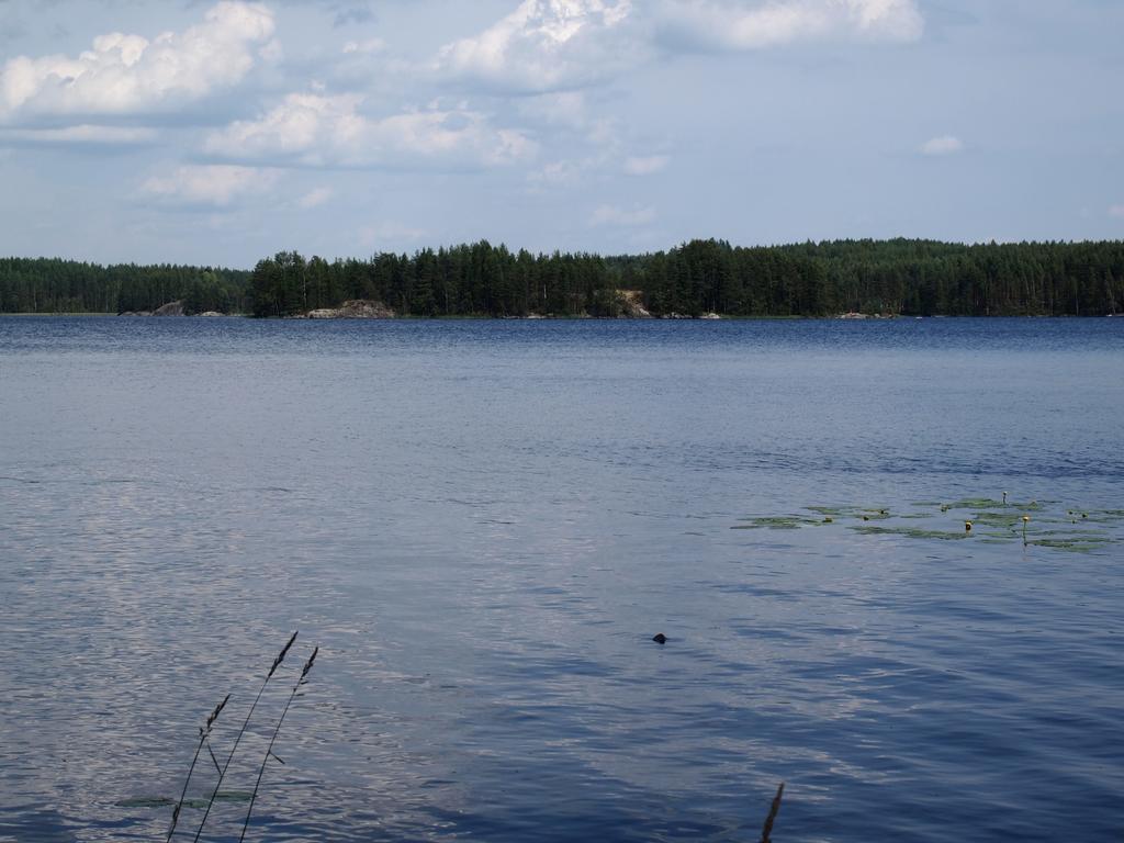 Kuoreksenniemi Villas & Lakehouse Puumala Bagian luar foto