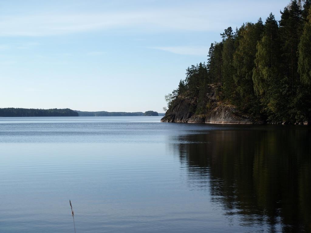 Kuoreksenniemi Villas & Lakehouse Puumala Bagian luar foto
