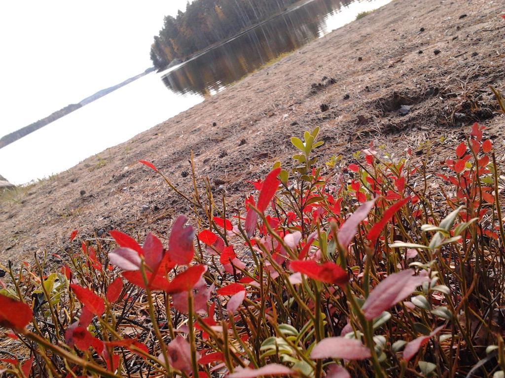 Kuoreksenniemi Villas & Lakehouse Puumala Bagian luar foto